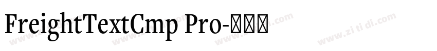 FreightTextCmp Pro字体转换